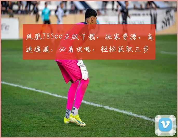 凤凰785cc正版下载，独家资源，高速通道，必看攻略，轻松获取三步走