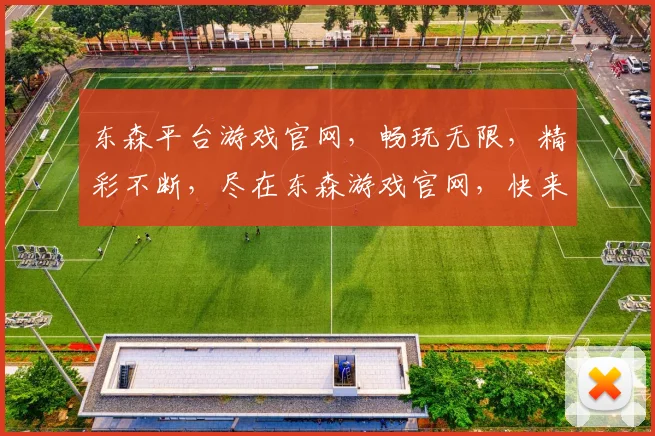 东森平台游戏官网，畅玩无限，精彩不断，尽在东森游戏官网，快来体验